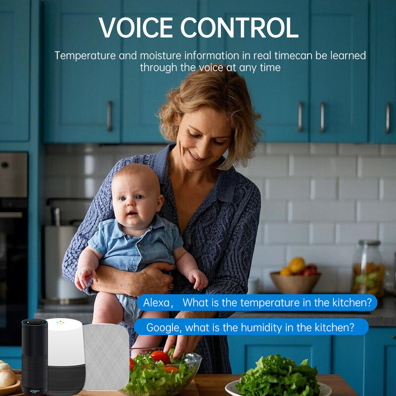 SIXWGH Tuya WiFi Smart Temperature Humidity Sensor Alexa/Google Voice Control 30-day Data Storage Electric για οικιακό αυτοματισμό